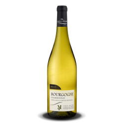 Domaine Picard Chardonnay Blanc